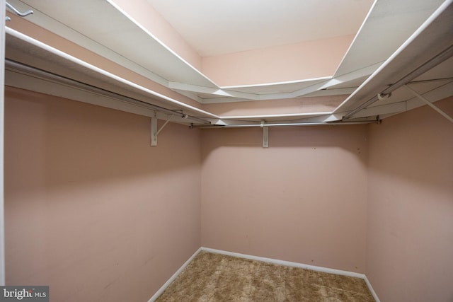 48 Dunstable Rd, Southampton, NJ 08088 - walk in closet featuring carpet