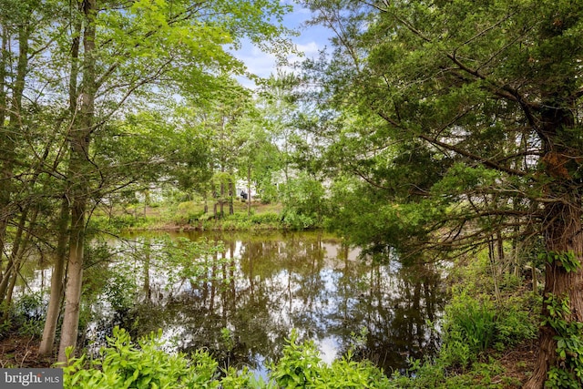 48 Dunstable Rd, Southampton, NJ 08088 - water view