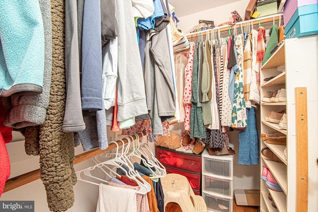 105 Fairfield Dr, Winchester, VA 22602 - view of walk in closet