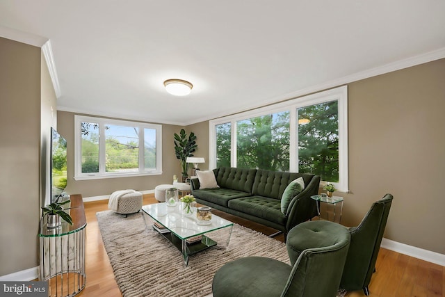 2115 Pennington, Ewing, NJ 08638 - living area with baseboards, crown molding, and light wood finished floors
