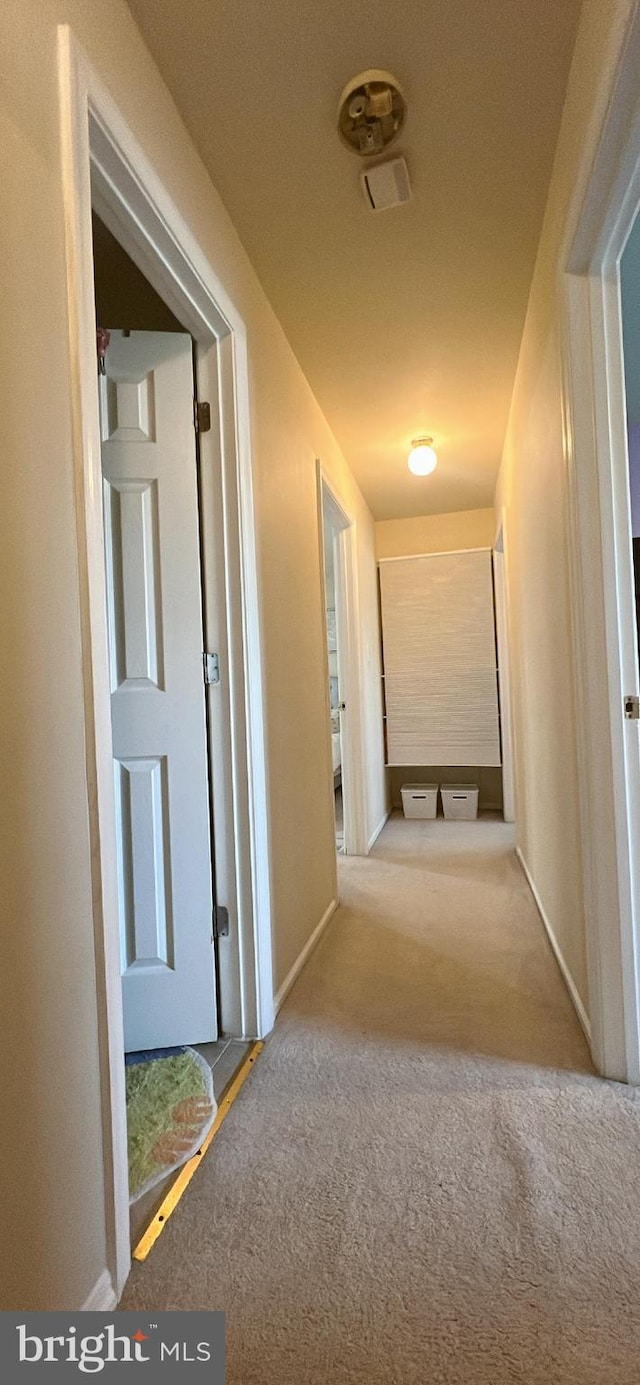 corridor featuring carpet floors and baseboards