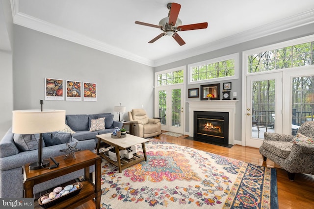 13073 Taverner Loop, Woodbridge, VA 22192 - living room with ornamental molding, ceiling fan, and wood finished floors