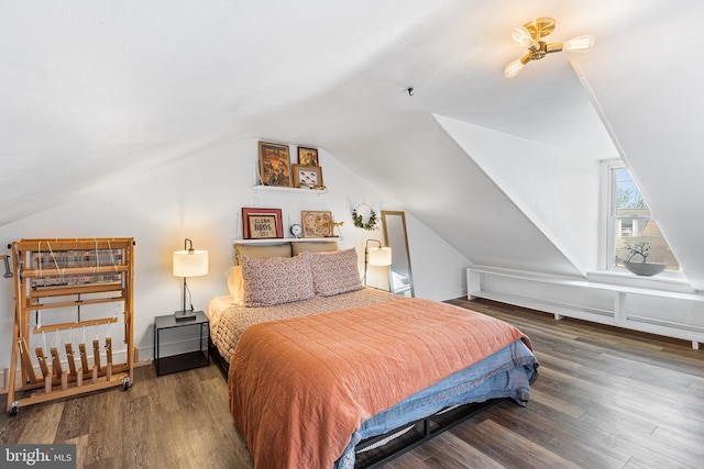 228 Morgan St, Phoenixville, PA 19460 - bedroom with lofted ceiling and wood finished floors