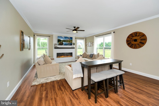 living area with crown molding, baseboards, a large fireplace, and wood finished floors