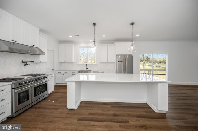 kitchen featuring a sink, high end appliances, under cabinet range hood, and light countertops