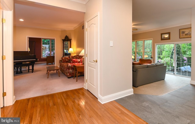 hall featuring crown molding, healthy amount of natural light, baseboards, and wood-type flooring