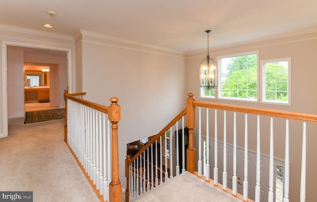 stairs with a chandelier, ornamental molding, and carpet floors