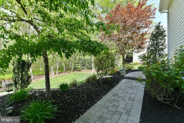 view of green lawn
