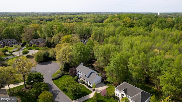 view of property location with a heavily wooded area