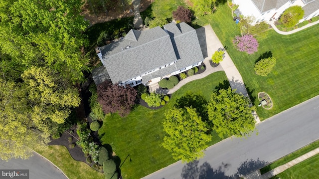 bird's eye view