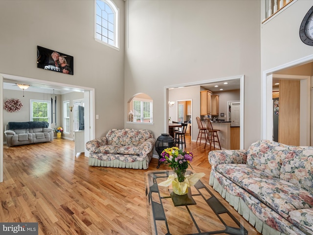 114 New Market Dr, Stephens City, VA 22655 - living room with a high ceiling and light wood-style flooring