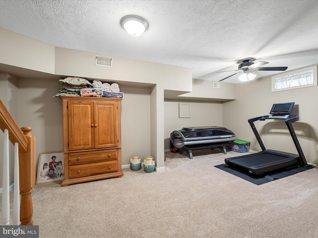 114 New Market Dr, Stephens City, VA 22655 - workout area with carpet floors, a ceiling fan, and a textured ceiling