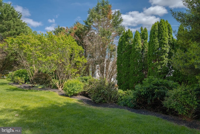 729 Rosecroft Ct, Forest Hill, MD 21050 - view of green lawn