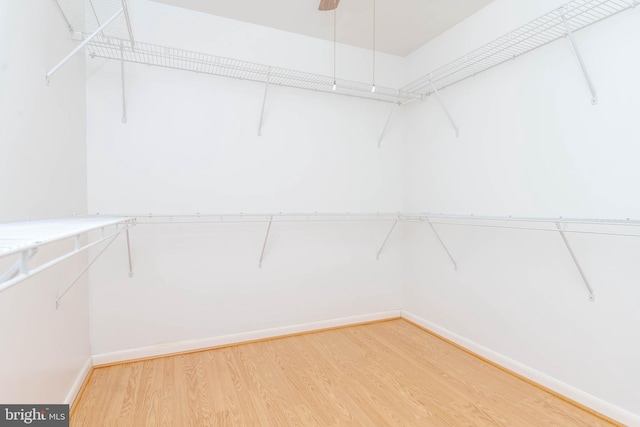 729 Rosecroft Ct, Forest Hill, MD 21050 - spacious closet featuring light wood finished floors