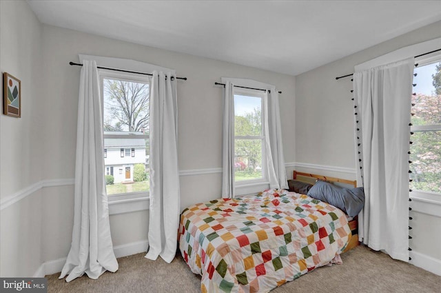 304 Charles Rd, Lancaster, PA 17603 - bedroom featuring carpet floors and multiple windows