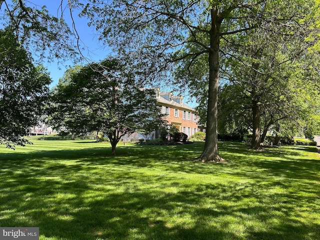 view of grassy yard