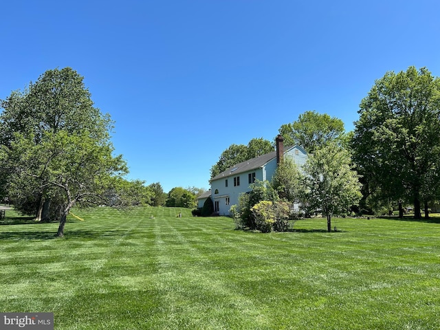 view of grassy yard