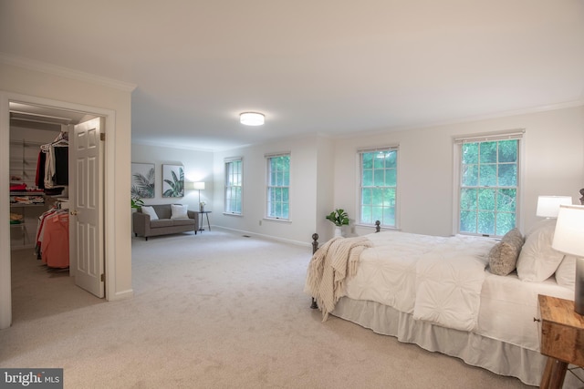 carpeted bedroom with ornamental molding, a walk in closet, multiple windows, baseboards, and a closet