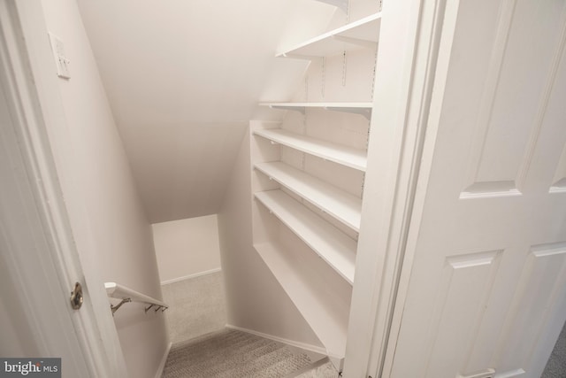 spacious closet with carpet flooring