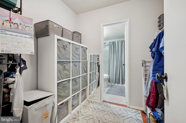 bathroom with a shower with curtain, toilet, and wood finished floors