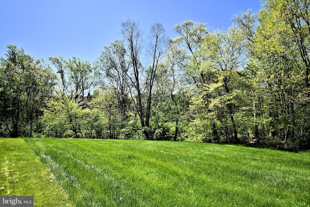 view of yard featuring a view of trees