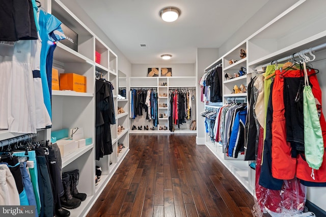 walk in closet featuring dark wood-style floors
