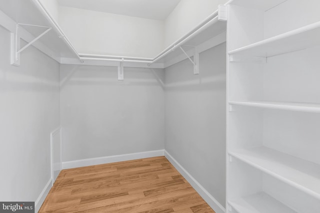 spacious closet featuring wood finished floors