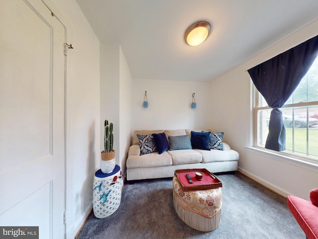4408 1st Pl NE Unit 14, Washington, DC 20011 - living room featuring carpet flooring and baseboards