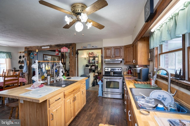 505 Deibler Rd, Pennsylvania Furnace, PA 16865 - kitchen featuring stainless steel electric range oven, under cabinet range hood, wooden counters, and a sink