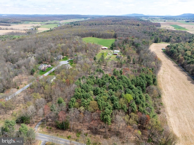 505 Deibler Rd, Pennsylvania Furnace, PA 16865 - drone / aerial view