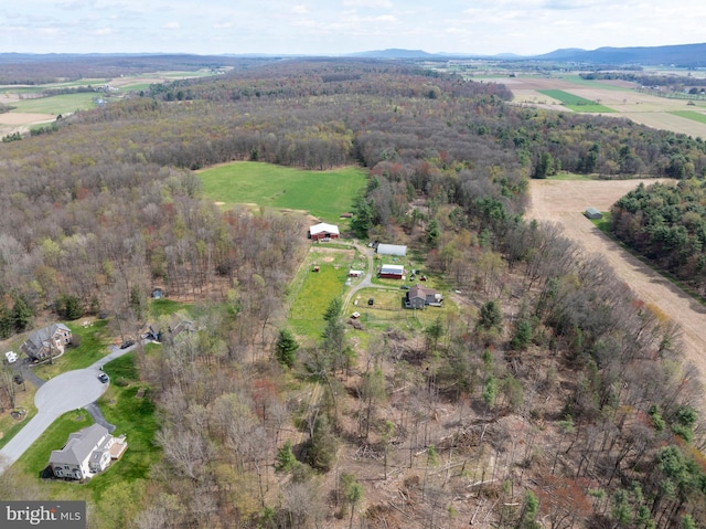 505 Deibler Rd, Pennsylvania Furnace, PA 16865 - aerial view with a mountain view and a rural view