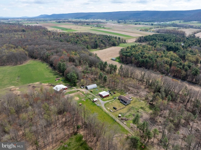 505 Deibler Rd, Pennsylvania Furnace, PA 16865 - bird's eye view with a mountain view and a rural view