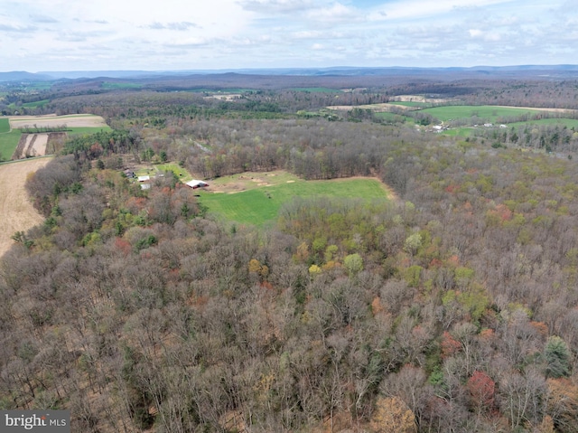 505 Deibler Rd, Pennsylvania Furnace, PA 16865 - bird's eye view with a forest view