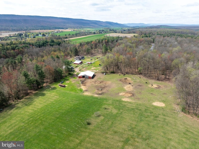 505 Deibler Rd, Pennsylvania Furnace, PA 16865 - aerial view with a rural view and a forest view