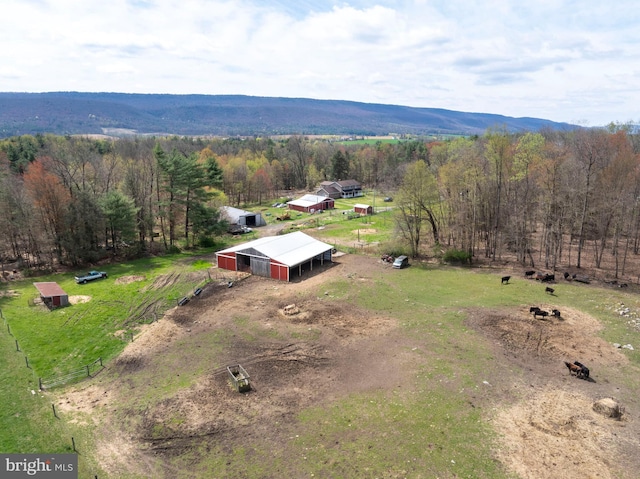 505 Deibler Rd, Pennsylvania Furnace, PA 16865 - birds eye view of property with a forest view