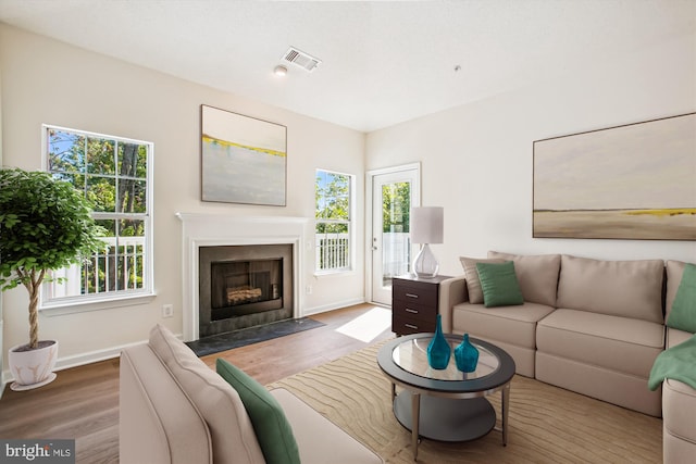 1704 Lake Shore Crest Dr Unit 32, Reston, VA 20190 - living area with plenty of natural light, baseboards, and wood finished floors