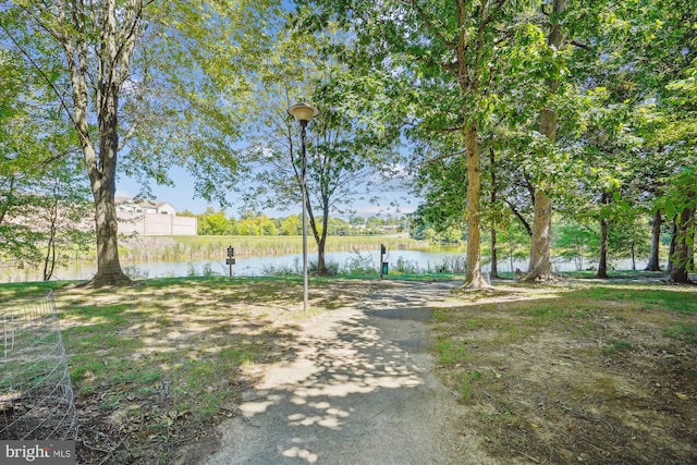 1704 Lake Shore Crest Dr Unit 32, Reston, VA 20190 - view of yard with a water view