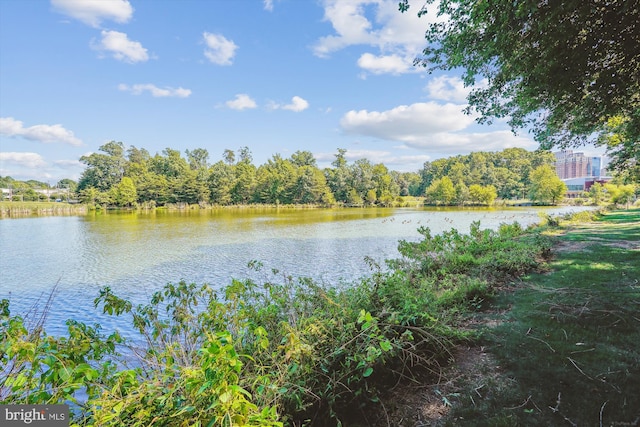 1704 Lake Shore Crest Dr Unit 32, Reston, VA 20190 - water view