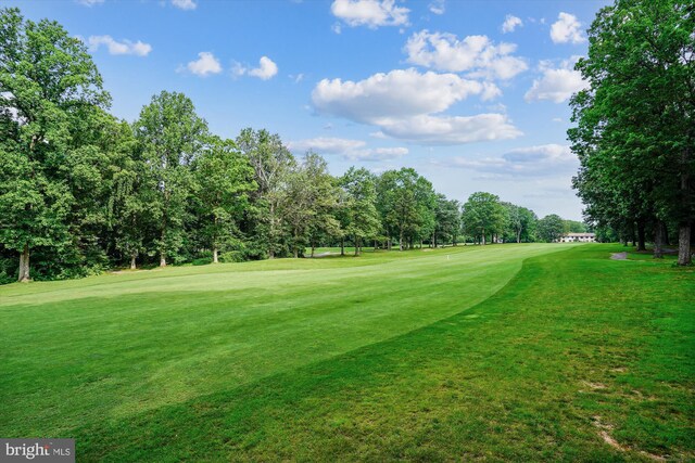 1704 Lake Shore Crest Dr Unit 32, Reston, VA 20190 - view of property's community with golf course view, a yard, and view of scattered trees