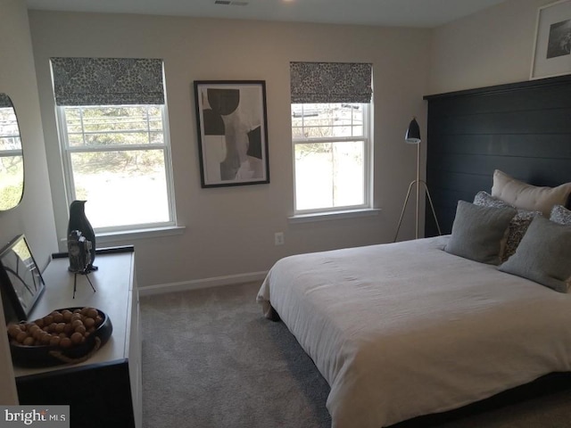 16497 Northwestern Pike, Augusta, WV 26704 - carpeted bedroom featuring baseboards and visible vents