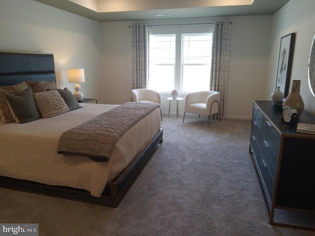 16497 Northwestern Pike, Augusta, WV 26704 - bedroom featuring baseboards and dark carpet