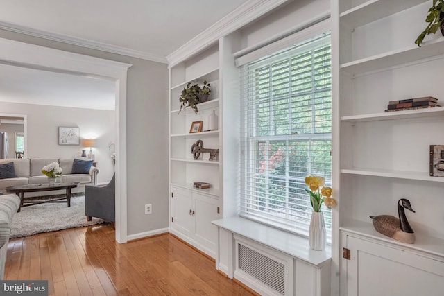 interior space with built in shelves, ornamental molding, light wood-style flooring, and a wealth of natural light
