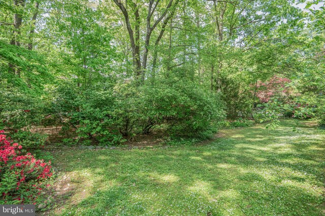 view of yard with a view of trees