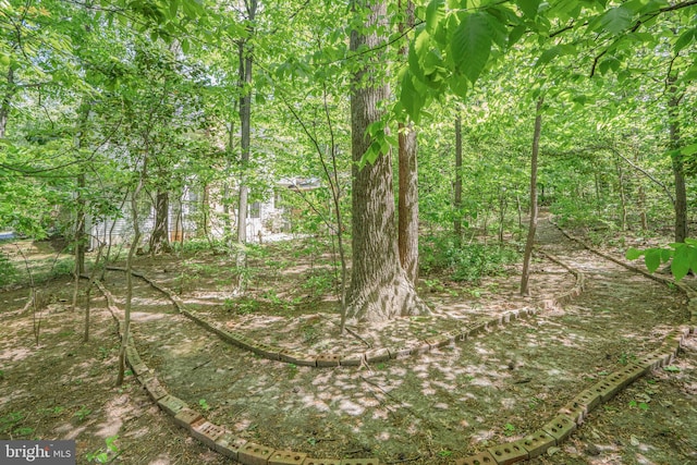 view of local wilderness