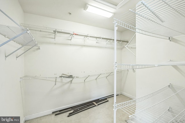 view of spacious closet