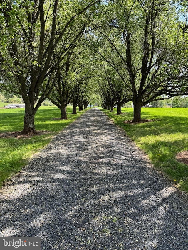 view of road
