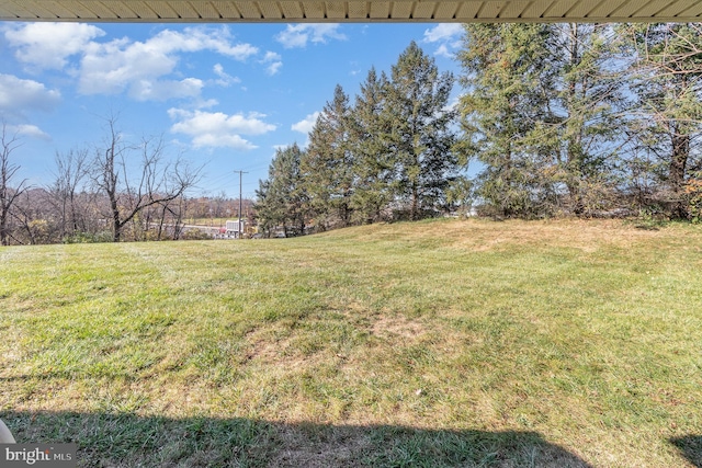 view of yard