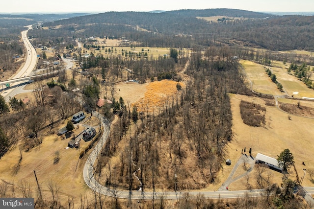 birds eye view of property featuring a mountain view