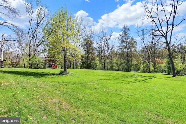 view of yard