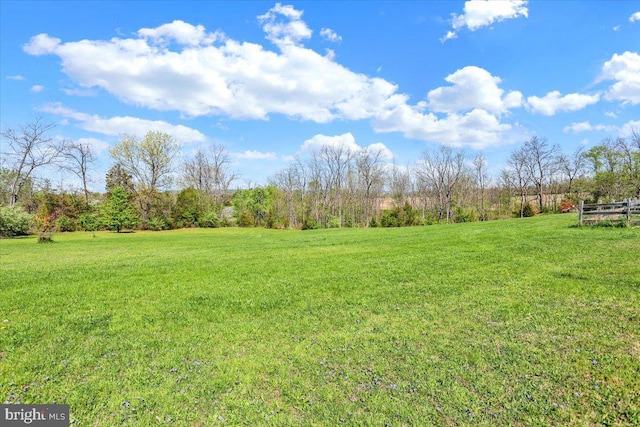 view of yard featuring a rural view